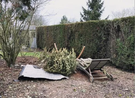 before-image